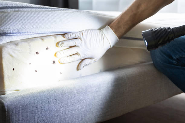 Pest Control Cost in Winter Beach, FL