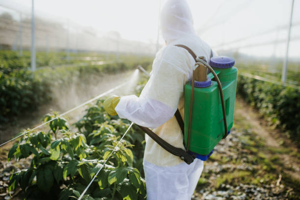 Best Best Pest Control Companies  in Winter Beach, FL